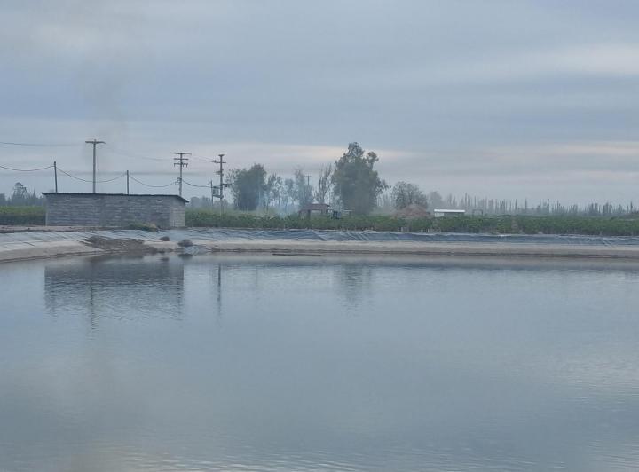 Campo · 720m²