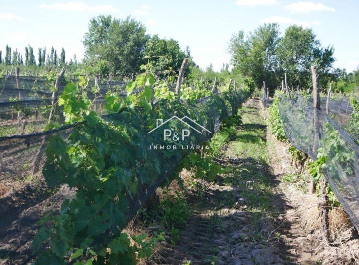 Campo · 10m²