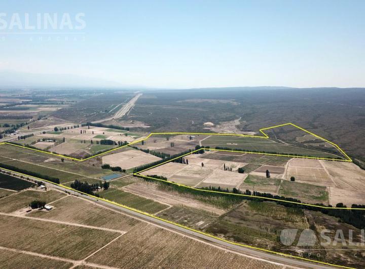 Campo · 1050000m²