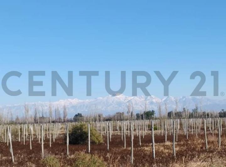 Local comercial · 95000m²