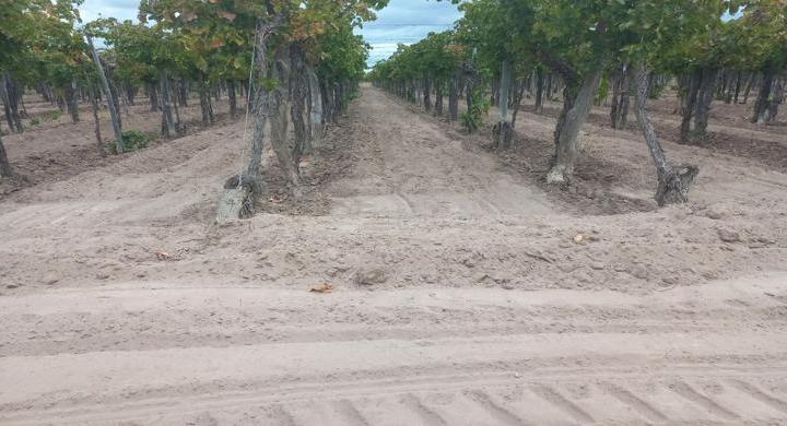 Campo · 200000m²