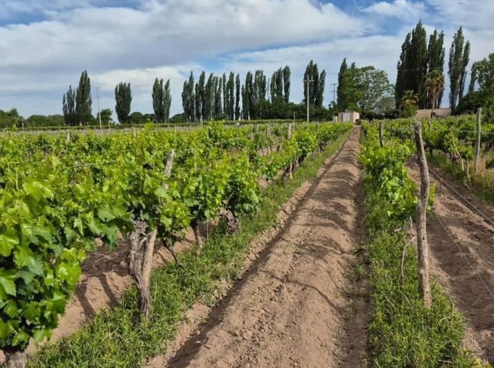 Quinta vacacional · 125000m²