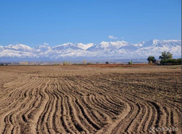 Campo · 360m²