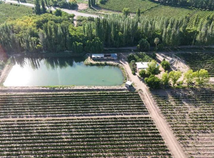 Campo · 300000m²