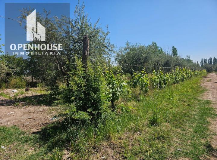 Campo · 267m²
