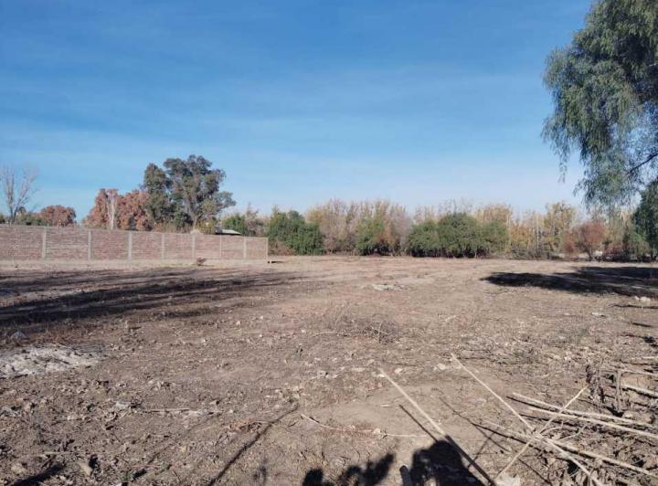 Terreno · 11900000ha