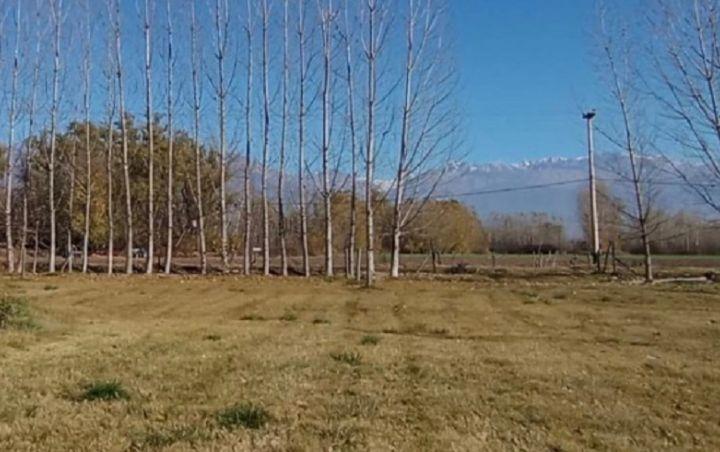 Bodega-Galpón · 150m²