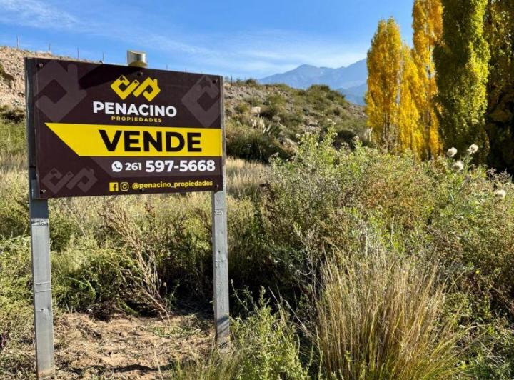 Terreno · 2954m²