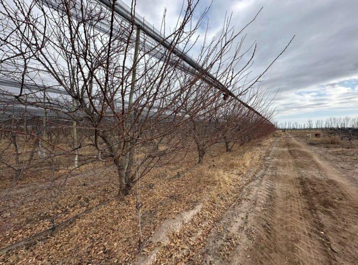 Campo · 180m² · 6 Ambientes