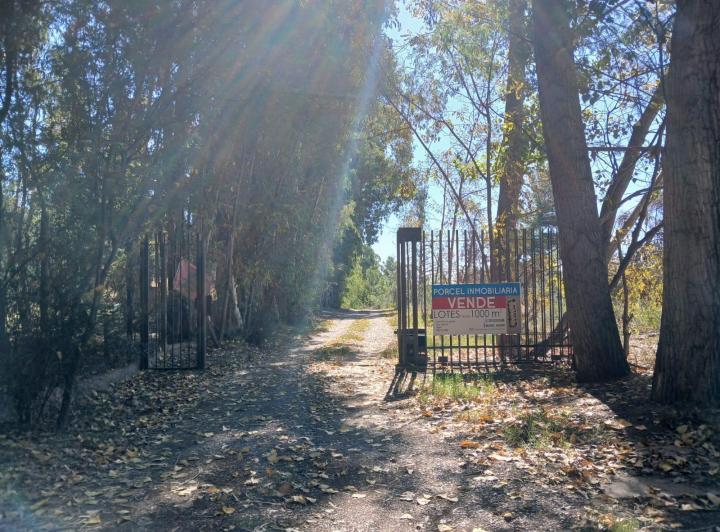 Terreno · 1300m²