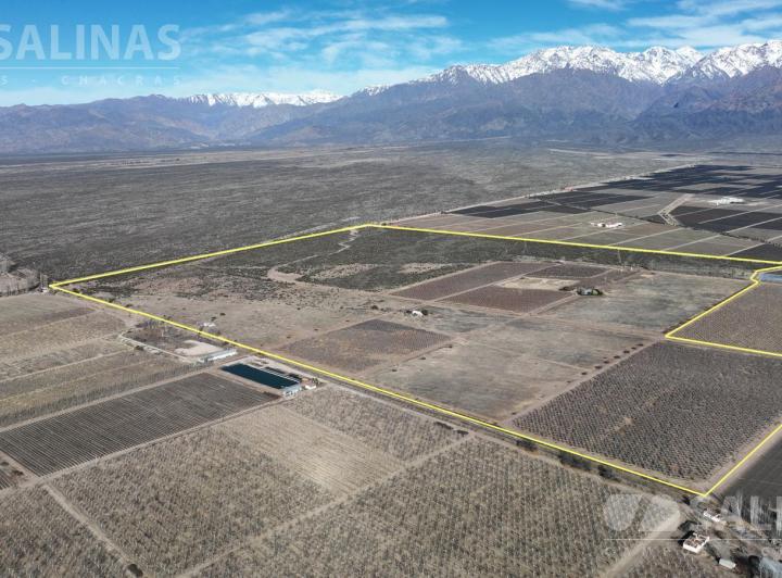 Campo · 1100000m²