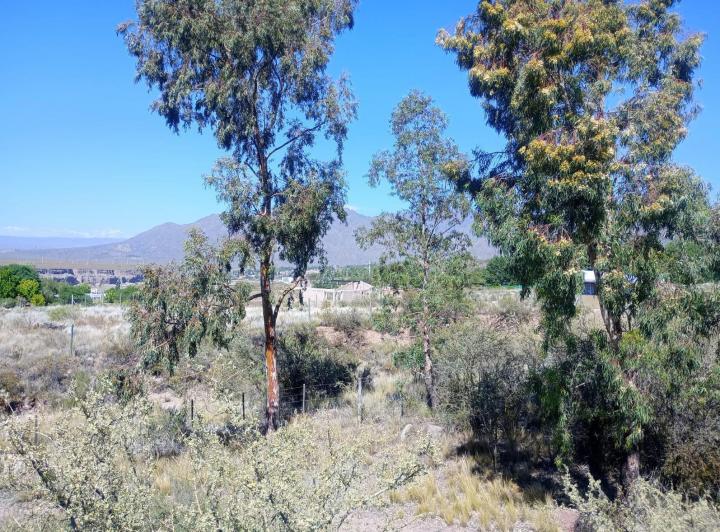 Terreno · 1990m²