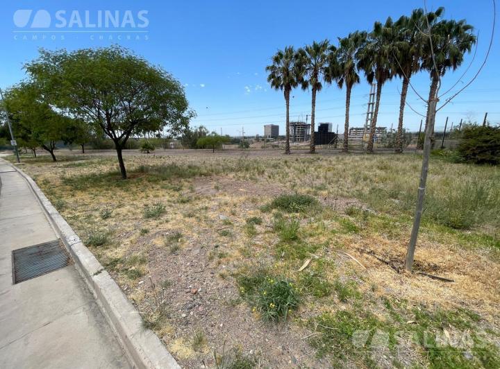 Terreno · 505m²