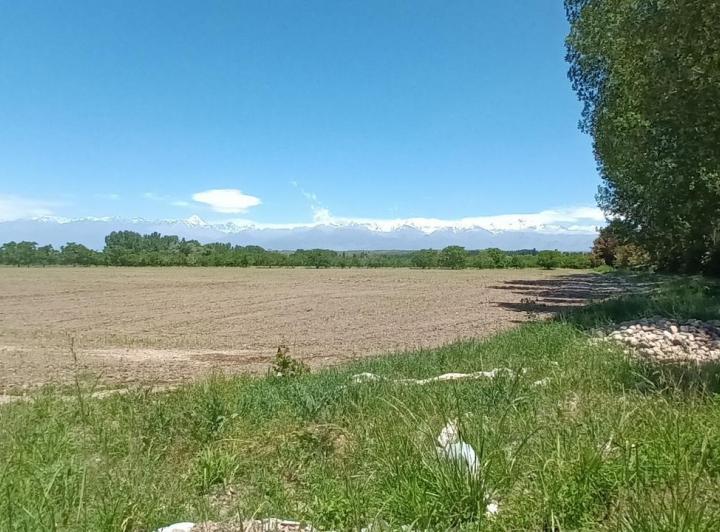Terreno · 2000m²