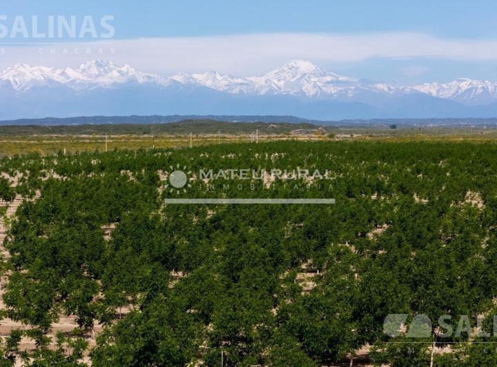 Campo · 850000m²