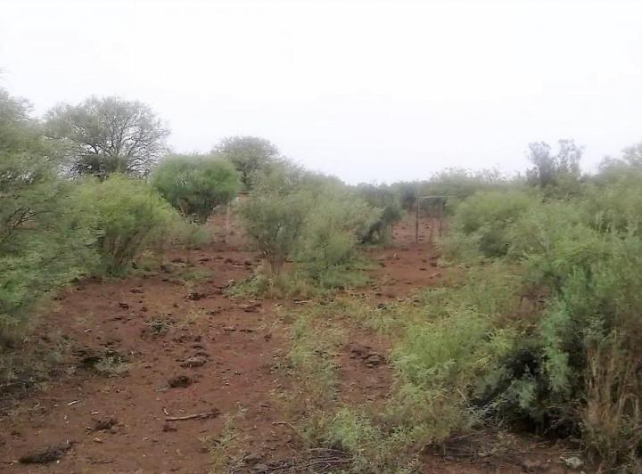 Campo · 1ha