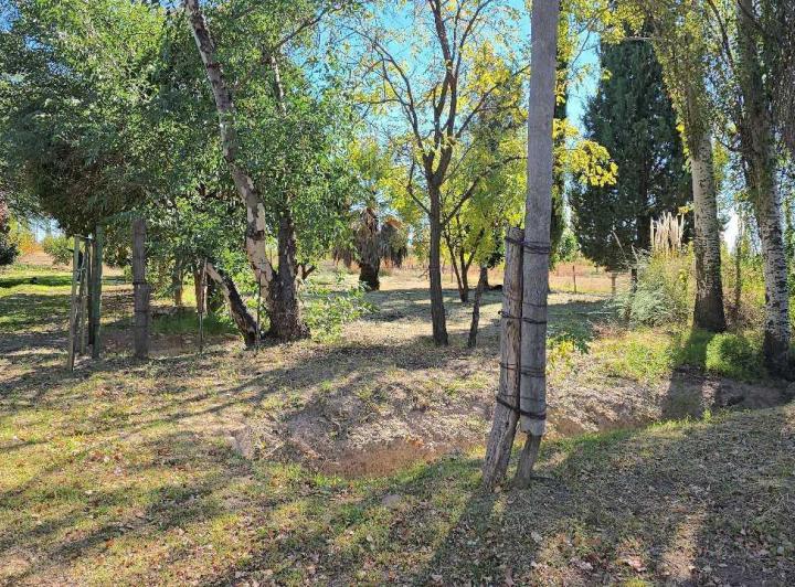 Campo · 170m² · 3 Dormitorios · 1 Cochera