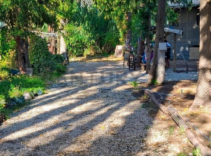Campo · 39m²