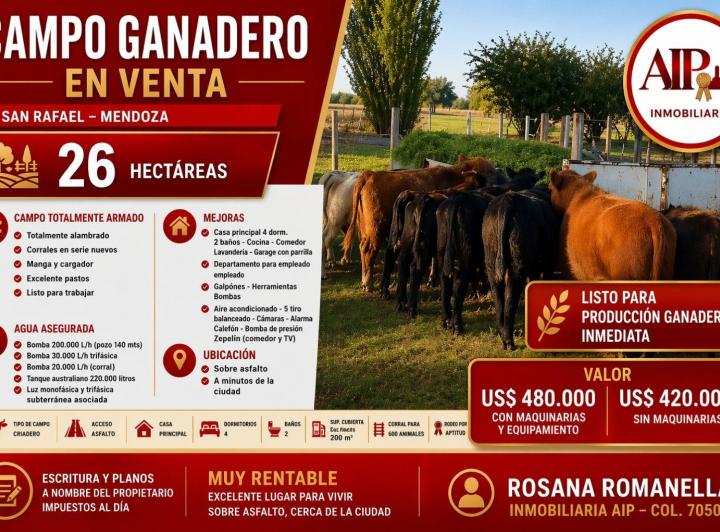 Campo