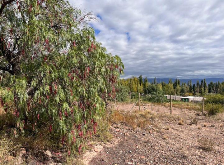 Terreno · 5000m²