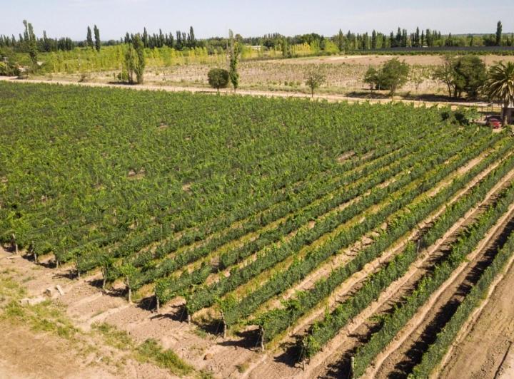 Quinta vacacional · 400m² · 3 Dormitorios