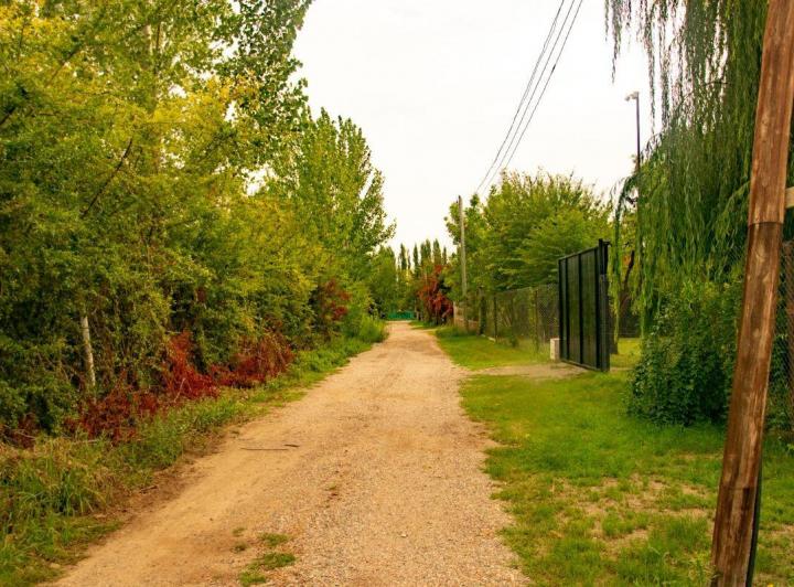 Terreno · 1290m²