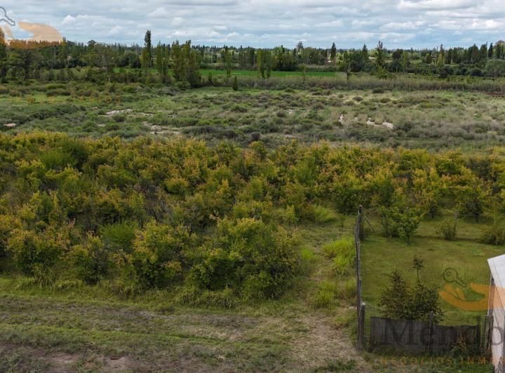 Campo · 20000m²