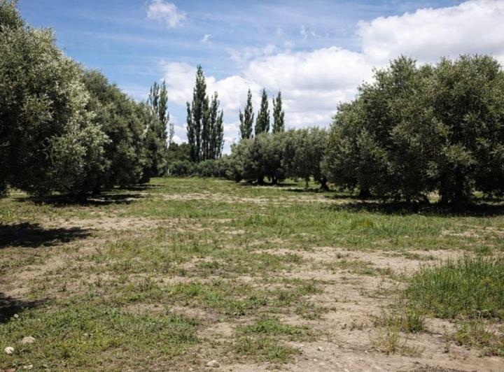 Terreno · 600m²