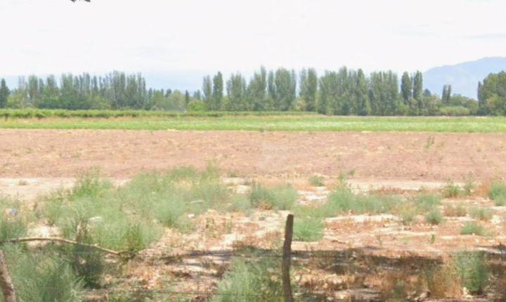 Campo · 11ha