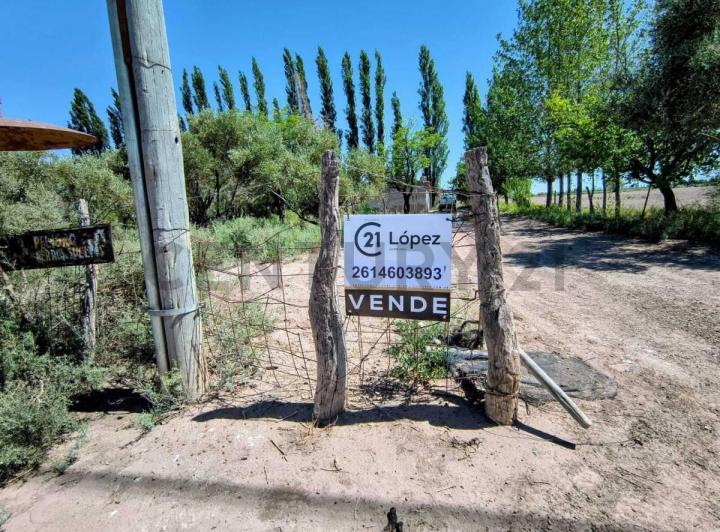 Campo · 15m²