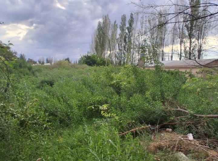 Terreno · 1000m²
