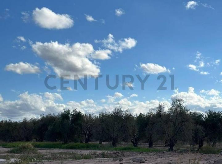 Terreno · 450m²