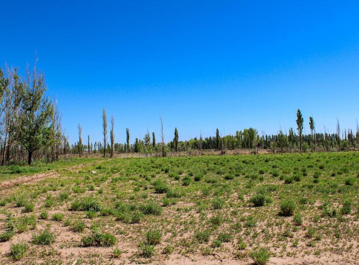 Terreno · 40000m²