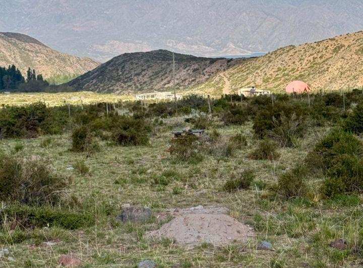 Terreno · 3000m²