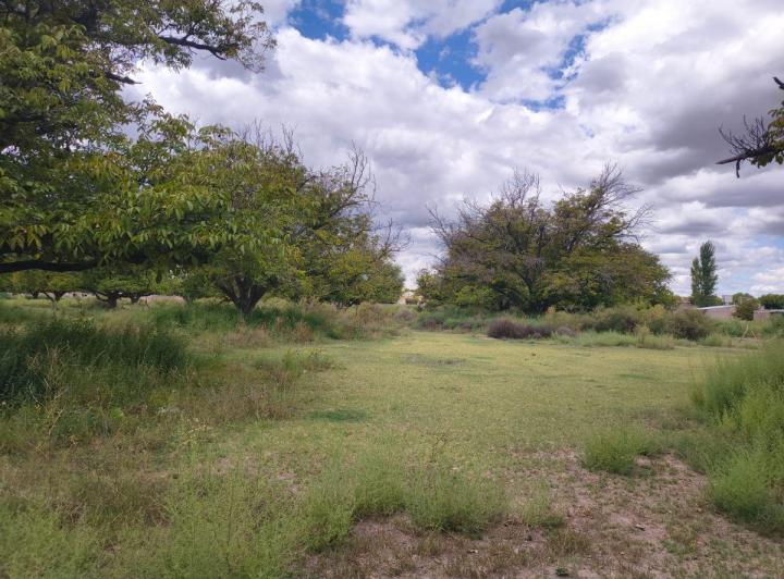 Terreno · 446m²