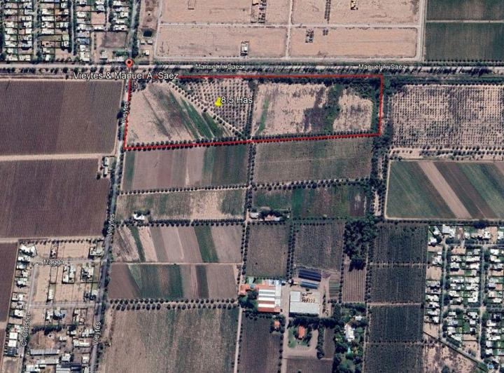 Campo · 85000m²