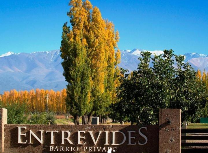 Terreno · 1000m²