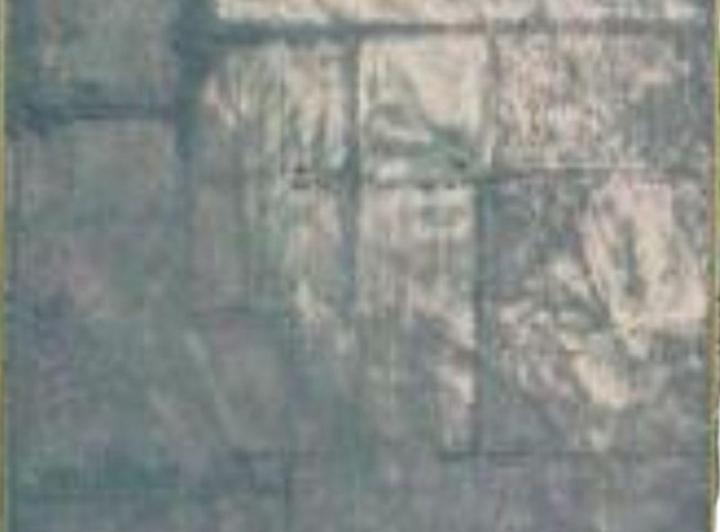 Campo · 100ha
