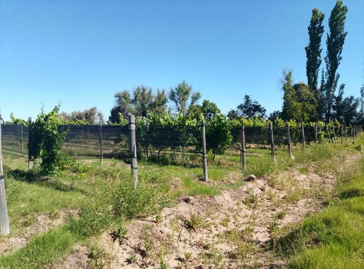 Terreno · 160m²