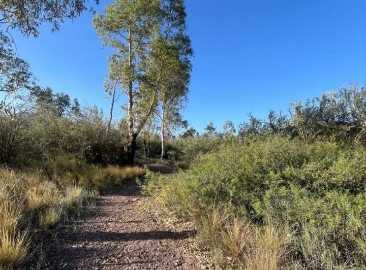 Terreno · 3834m²