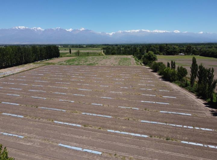Campo · 1109436m²