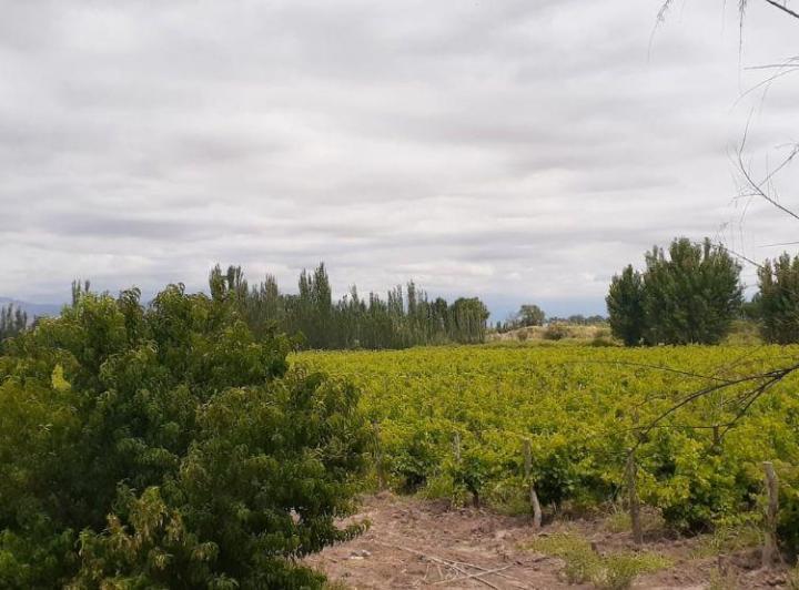 Campo · 80m²