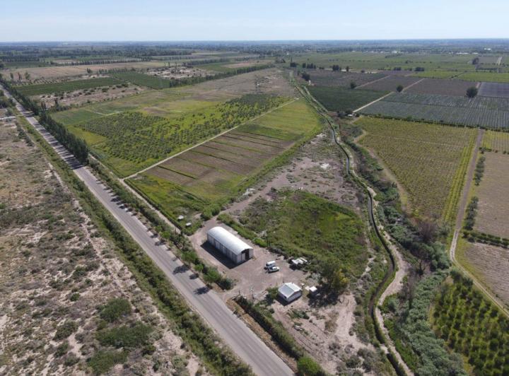 Campo · 36ha