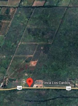 Campo · 65000m²