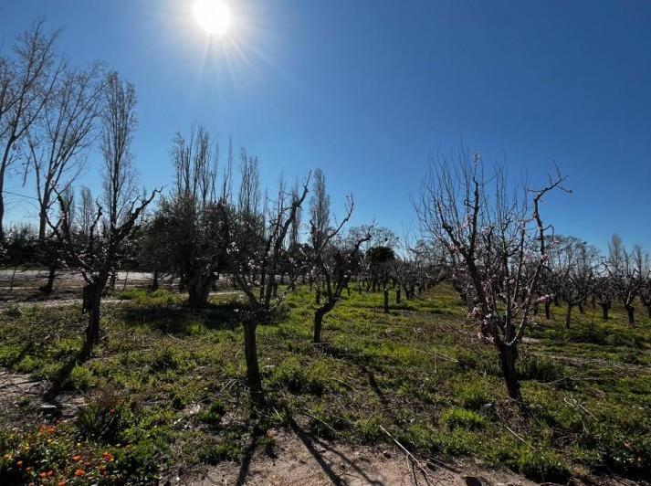 Quinta vacacional · 42024m²