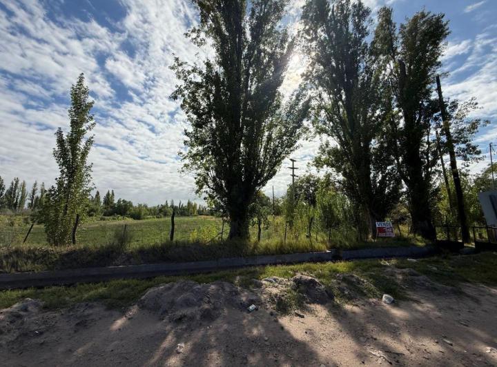 Terreno · 56000m²
