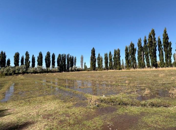 Terreno · 30000m²