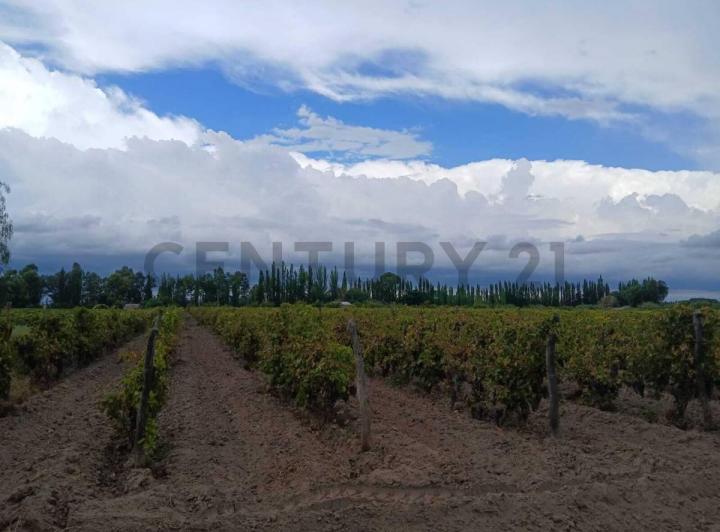 Local comercial · 457m² · 6 Ambientes