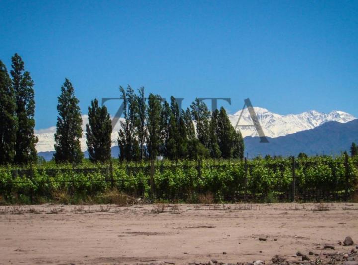 Terreno · 510m²