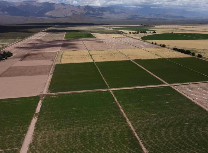 Campo · 700m²